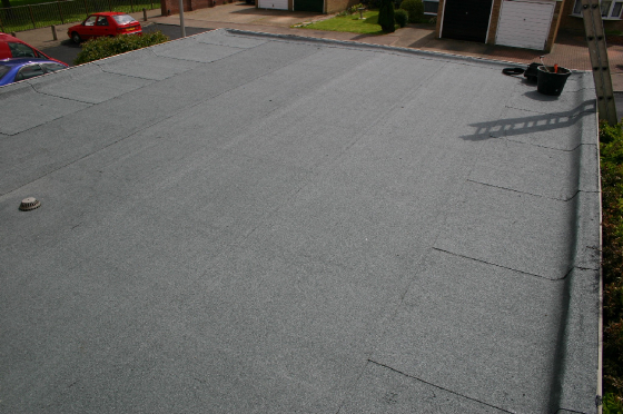silverfields7.jpg