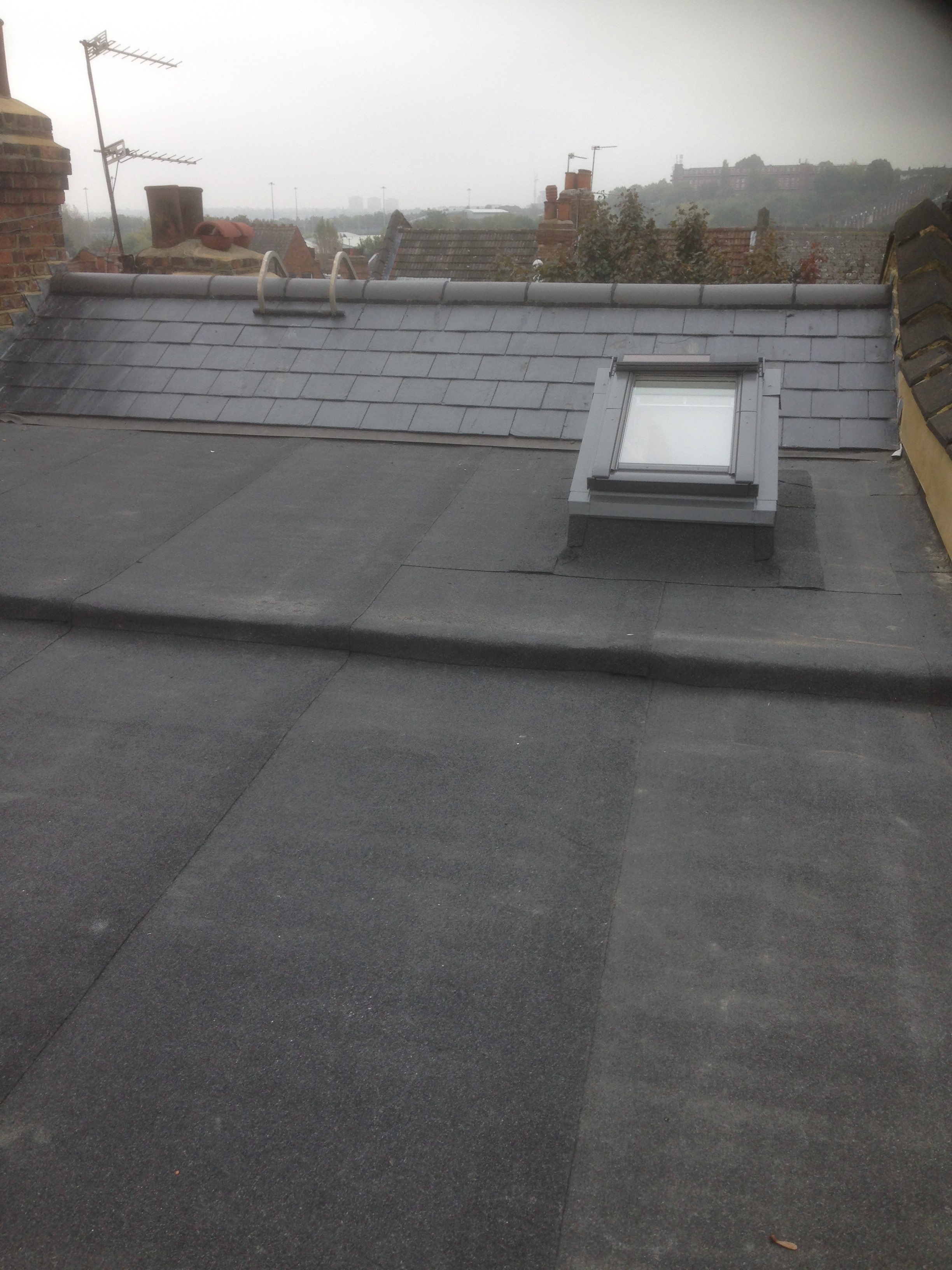 Hornsey.Flat.Roof.Velux.jpg